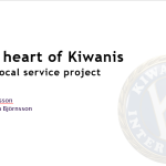 Service project