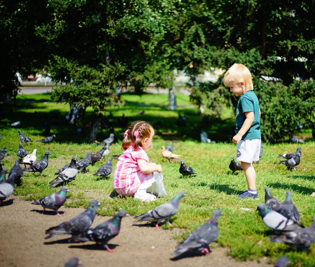 children with pigeons