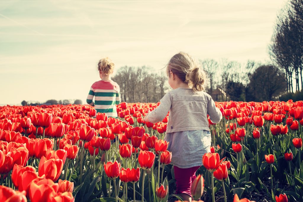 children in red flower field