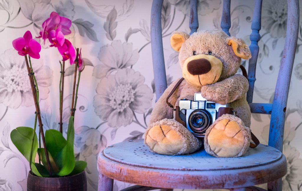 teddy bear on chair with flowers
