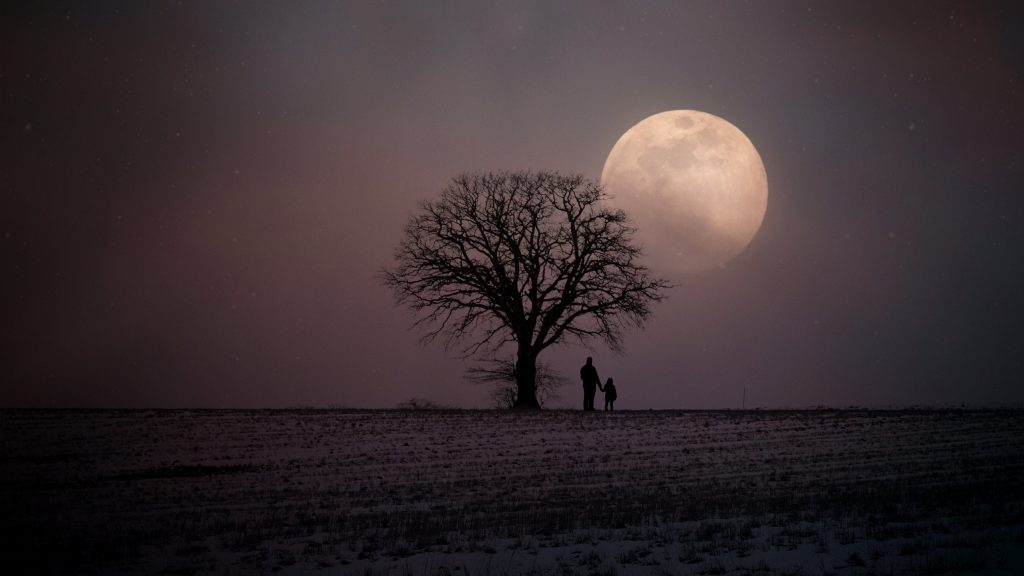 Winter twilight tree moon landscape
